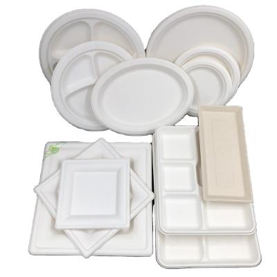 China Bio Minimalist Degradable Packaging Tray Sugar Cane Bagasse Rectangular Plate Food Box Compartment Dish for sale