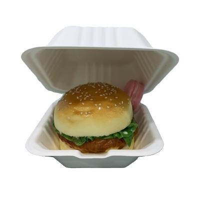 China Disposable Biodegradable Sugarcane Takeaway Bagasse Pulp Molded Fast Food Container Clamshell Lunch Box for sale