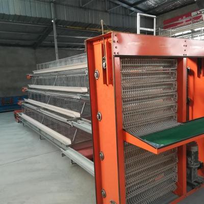 China Farms Chicken Layer Cage for sale