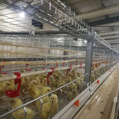 China Farms Broiler Chicken Cage for sale