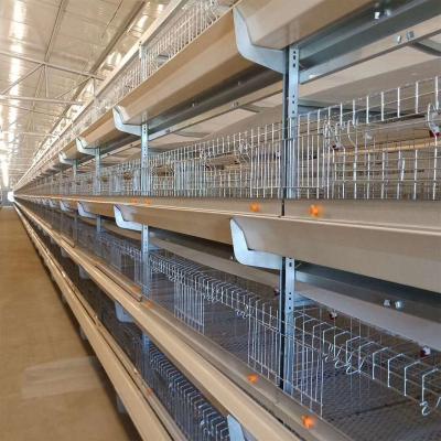 China Farms Very Good Quality 3-4 Tiers H Type Hot Galvanized Broiler Chicken Cage For Chicken Farm For Sale for sale