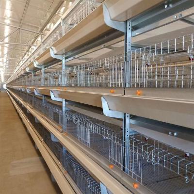 China Complete automatic feeding system /manure automatic withdrawal system for chicken cage for sale