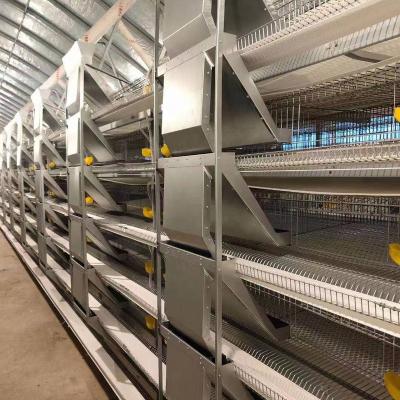 China Wire Mesh Metal Cage For Quail Farms H Type Hot Sale In Commercial Quail Breeding Farm for sale