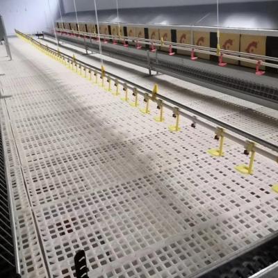 China Farms Low Price Durable Plastic Flooring For Poultry Farms for sale