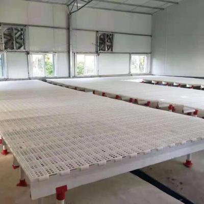 China Cultivate poultry plastic floors for chicken farm for sale