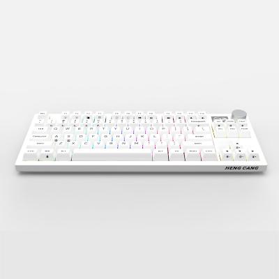 China Anti-ghosting Hot Selling Ergonomic Multi Language Layout USB Laptop Desktop Standard Computer Wireless Keyboard for sale