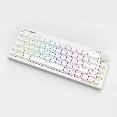 China Anti-ghosting Best Selling Popular Style Professional High End Mechanical Keyboard Gaming Manufactory for sale