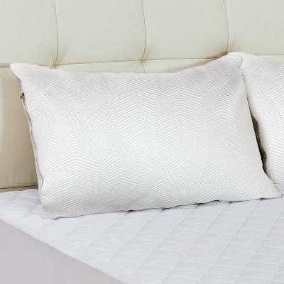 China Anti Dust Mite Summer Ice Smelling 100% Real Pillow Cover Private Label Silk Pillow Case Super Cooling for sale