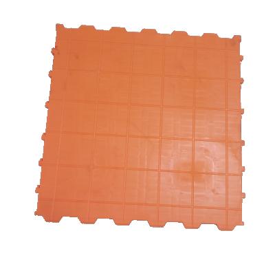 China Chinese Professional Top Load Bearing Plastic Slat Floor Manufacturer In Hog ​​Use Factory Direct Sale for sale