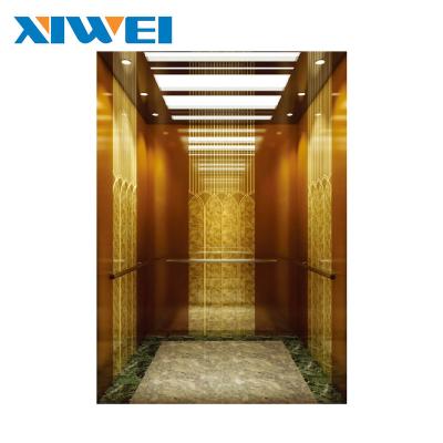 China Contemporary 250-400 Kg Machine Roomless Home Elevator Lifts Residential Elevators for sale