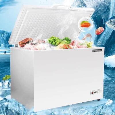 China Single-temperature Commercial Fresh Freezer Two Door Commercial Fridge Ice Cream Fridge for sale