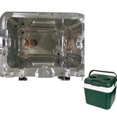 中国 Storage Waterproof Fishing Camping Chest Cans Food Rotomolded Cooler Box Mold Rotomolding Mold 販売のため