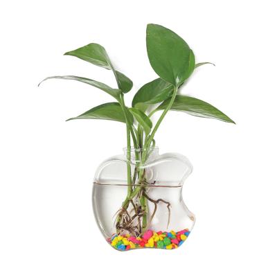 China Garden Plug Wall Planter Creative Mini Glass Greenhouse Easily Assembled Hanging Glass Flower Pot For Plants for sale