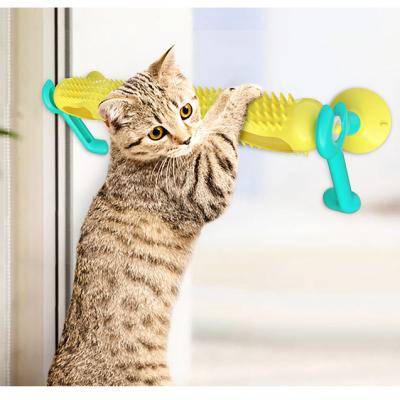 China Cat Toys With Interactive Scratch Tennis Ball And Massage For Cat for sale