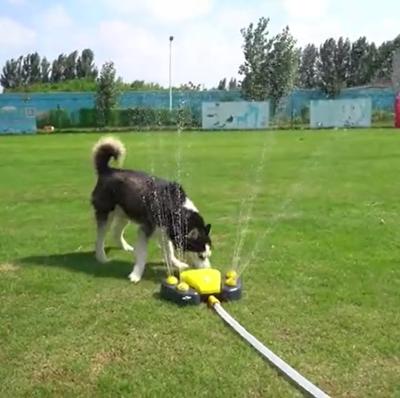 China Pet Automatic High Quality Product Funny Water Sprayer Toy Use In Garden Dog Water Fountain for sale