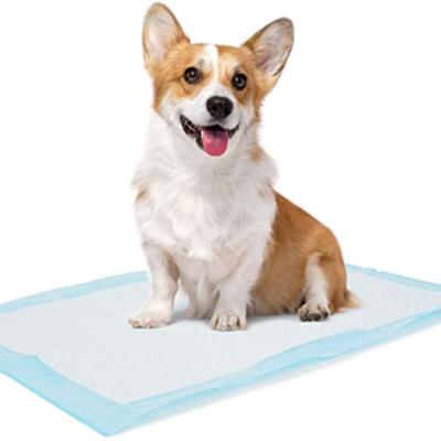 China Amazon dog sustainable basics and puppy pads for give birth or pee for sale