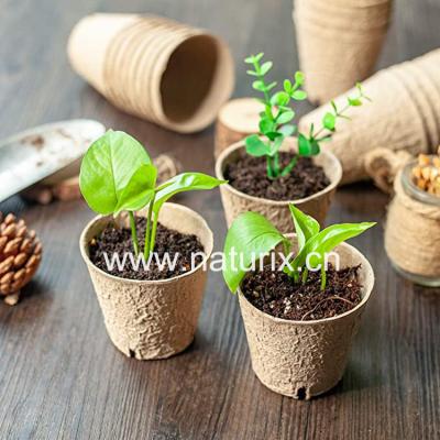 China Naturix Eco-Friendly 8 Cm Custom Design Round Eco Friendly Flower Plant Set Organic Paper Pot Packaging Garden Planter Pots Biodegradable for sale