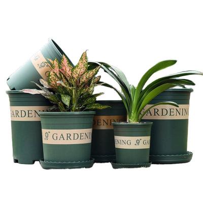 China High quality modern plastic flower pots and multi hot sale succulent factory wholesale plastic gallon size cheap pots for sale