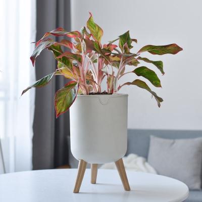 China Modern Simple Elegance Self Watering Plant Lucidity Flower Pot for Indoor Outdoor Flower Pots and Planters for sale