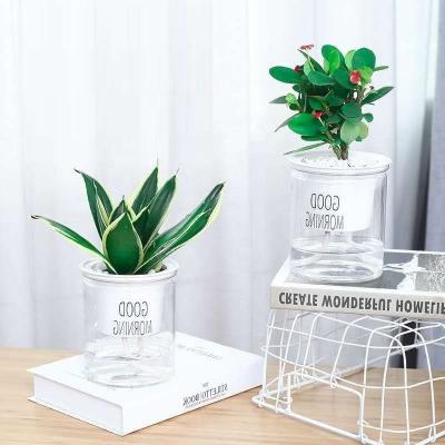 China DEEPBANG Flower Pot Garden Small Clear Indoor Modern Decor Large Self Watering Outdoor Hydroponic Transparent Flower Pots Bulk for sale