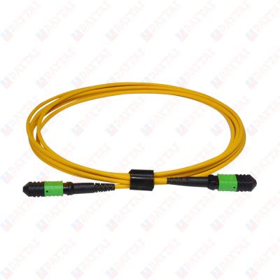 China MTP MPO 72Core SM 72 Core Trunk Patch Cord SM Fiber Optic Male To Female MPO Trunk Patch Cord for sale