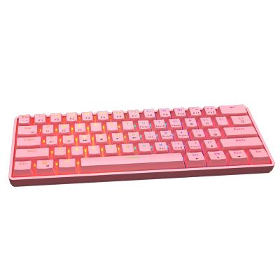 China High End 61 Breathing Keys Breathing USB Port Lightweight Black Waterproof ABS Wireless Keyboard for sale