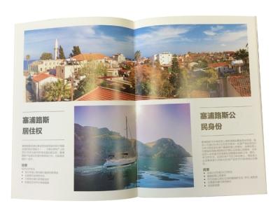 China Paper Back / Hand Back / Soft Cover Catalogue Printing For Publicity , advertising for sale