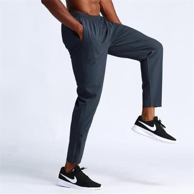 China Quick Dry Recycling Spring Autumn Fall Stocks Summer Men Polyester Wrinkle Running Anti-Wrinkle Sports Fitness Exercise Long Pants Anti for sale