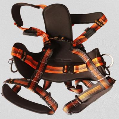 China Skylotec Cs4 Safety Harness G-0904 Facade Cleaning System Machinery & Industrial Equipment à venda