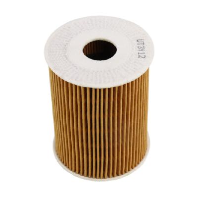 Cina elemento filtrante dell'olio per motori di 15208-2W200 15209-MA70A 7701057828 Nissan Oil Filter in vendita