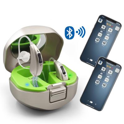 China Digital Rechargeable App Control Rechargeable Hearing Aids for Deaf Open Fit Filling Hearing Aids for sale