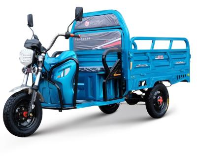 China 2020 New Chinese Light Cargo Electric Tricycle Adults for sale