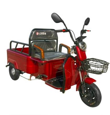 China New Chinese Cheap Electric Cargo Tricycle Cargo Truck Motorcycles For Adults for sale