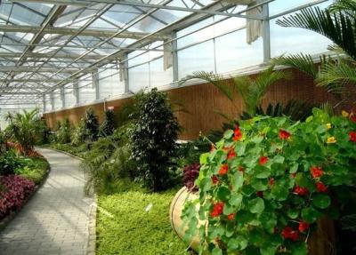 China Roof Skylights For Botanical Gardens Maximizing Natural Light For Flourishing Plant Life for sale