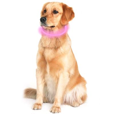 China USB Rechargeable Pet Padded Glowing Collars Lighted Safety Collar LED Dog Collar for sale