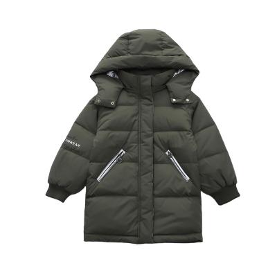 China Blazer First Class Outer Wind Hooded Heavy Duty Stripper Down Jacket Mens Lean Down Jacket for sale