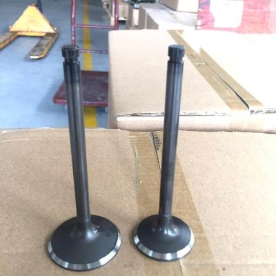 China 4CR9SI2MO and 21-4N ME072980 ME072981 Tip Engine Intake&Exhaust Valve for Mitsubishi 6D17 in 51*9*137 44*9*137 ex for sale