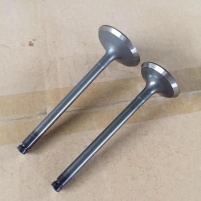 China 4CR9SI2MO and 21-4N 13201-1WH00 13202-1W400 Factory Engine Valve for Nissan QD32 in 45.5*8*117 39*8*117 ex for sale