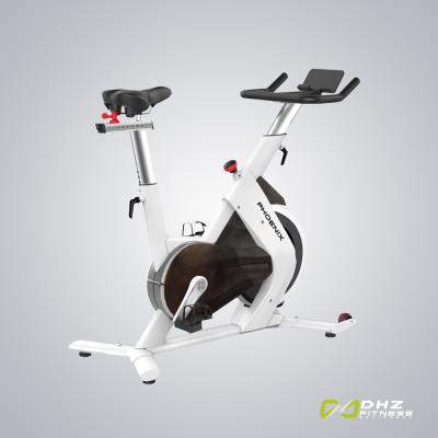 China Bici Pesado Volante Bicicleta Vertical Indoor Spin Bike Cardiovascular De Calidad Ciclo Del Alma Home Use Cardio Entrenamiento for sale