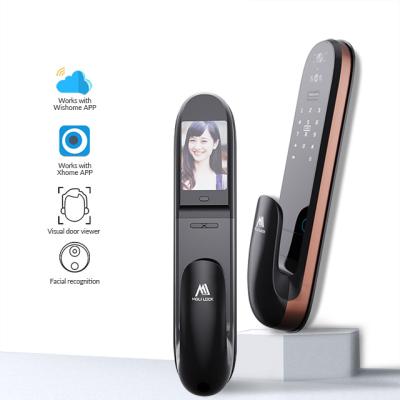 China Upscale APP /Face(Optional)/Fingerprint/Code/Card(Optional) Push Recognition APP Body Lock Smart Auto Biometric Lock Fingerprint Facial Door Lock for sale