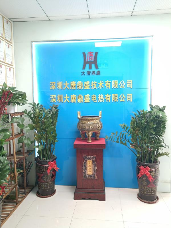 Fornecedor verificado da China - Shenzhen Datang Dingsheng Technology Co., Ltd.