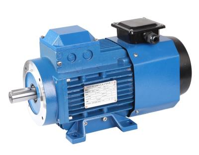 China YE2 Series 10hp 15hp 20 Hp 3 Phase Electric Waterproof ACMotor for sale