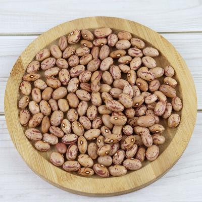 China Long / Round Dried Type Best Quality Red Color Sugar Beans Light Spotted Kidney Beans for sale