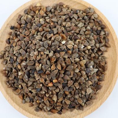 China Buckwheat Kernel Organic Buckwheat Seed Dry Raw Roasted Wholesale Buckwheat for sale