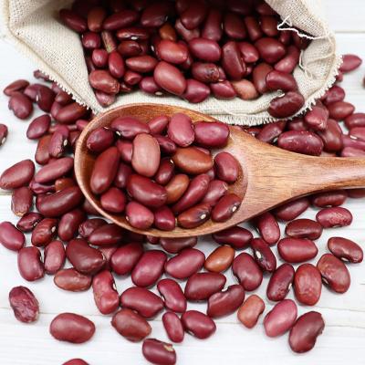 China Dried Bulk Kidney Kidney Beans for sale