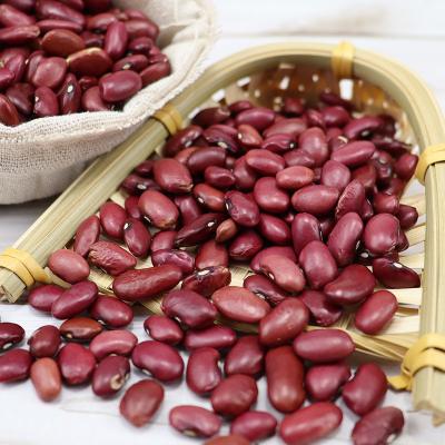 China Wholesale Price Dried Kidney Kidney Beans for sale