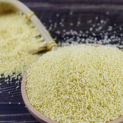 China Wholesale Cheap Price 100% Organic Dry Hulled Yellow Millet for sale