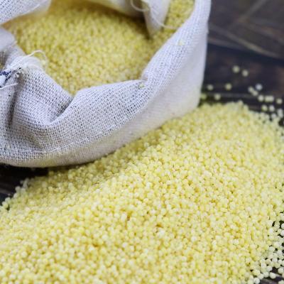 China Food Grade Dry Natural Fresh Yellow Millet For Human for sale