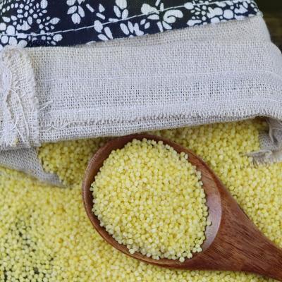 China Dry white millet for sale for sale