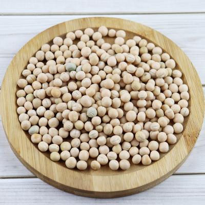 China Dry Chinese Dried Pea for sale